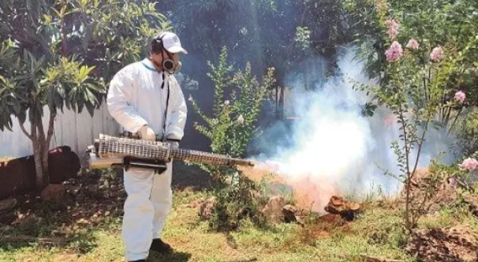 Advierten temporada mixta entre dengue y cuadros respiratorios Puerto Iguazú